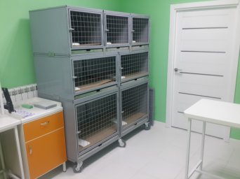 Размер стационара в ветклинике Лапа Помощи Краснодар Фото размера клеток стационара в ветеринарной клинике Лапа Помощи Краснодар