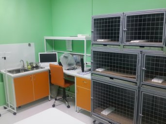 Рабочая зона у стационара ветклиники Лапа Помощи Краснодар Фото рабочей зоны рядом со стационаром ветеринарной клиники Лапа Помощи Краснодар