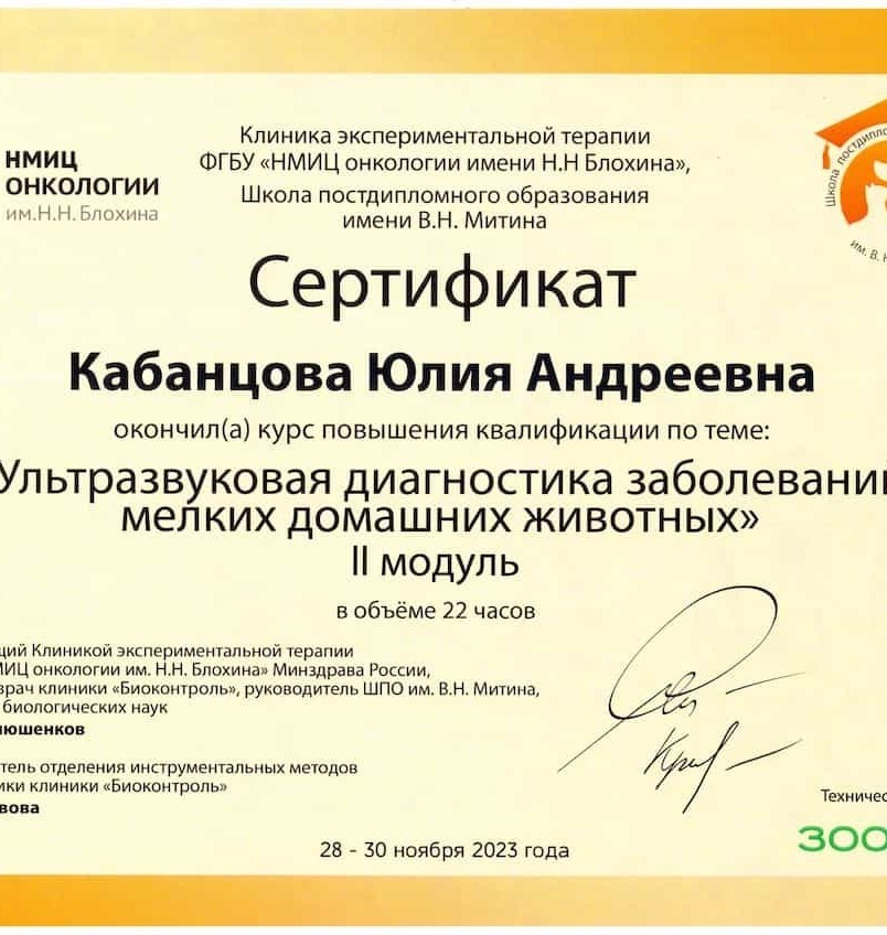 2023 г. - Ультразвуковая диагностика заболеваний мелких домашних животных, II Модуль