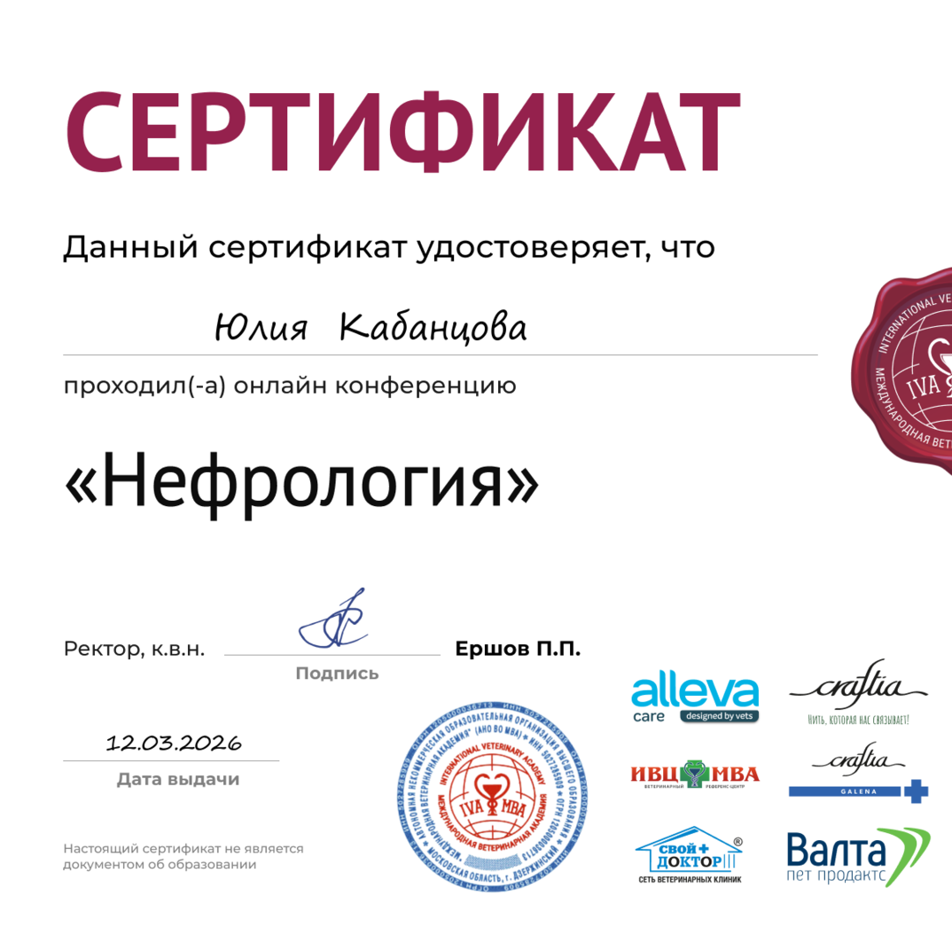 Нефрология