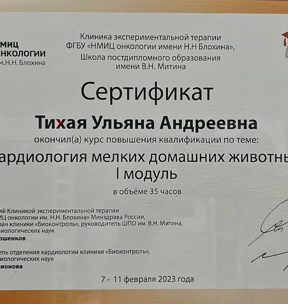 2023 г. - Кардиология мелких домашних животных, ВК "Биоконтроль"