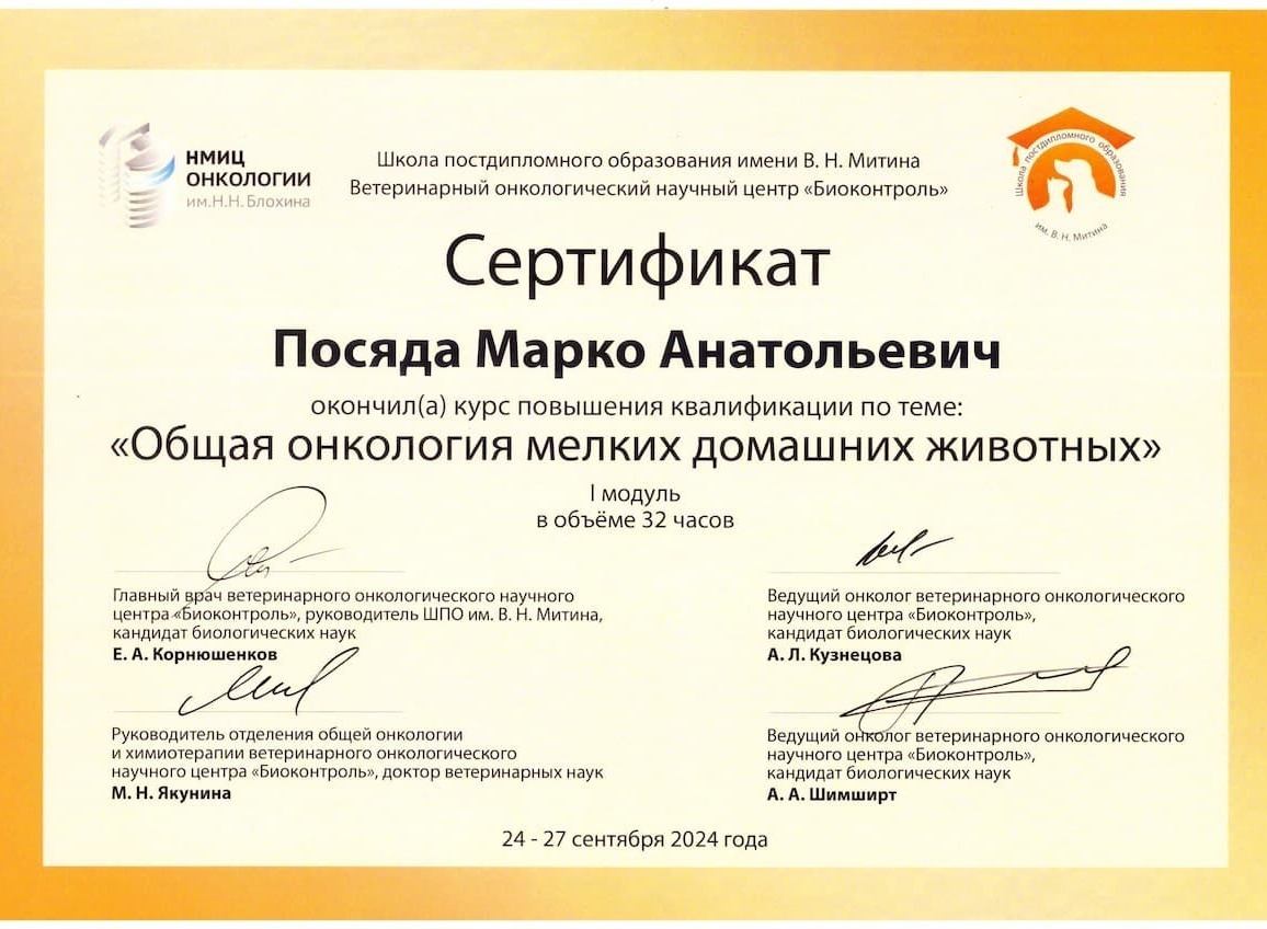 Сертификат 2024 г. - Общая онкология мелких домашних животных, г. Москва