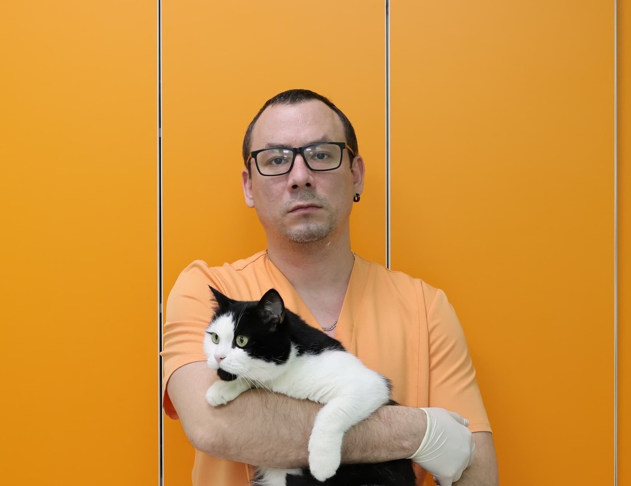 Фото вакцинации в ветеринарной клинике Лапа Помощи Краснодар