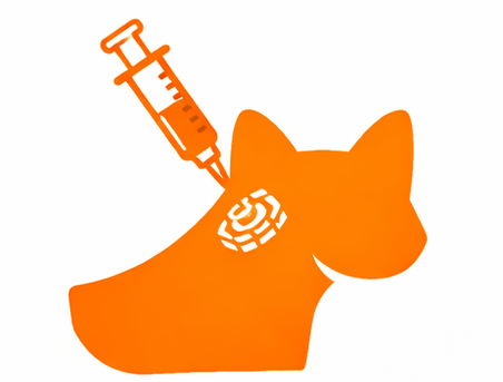 Чипирование в ветеринарной клинике Лапа Помощи Краснодар