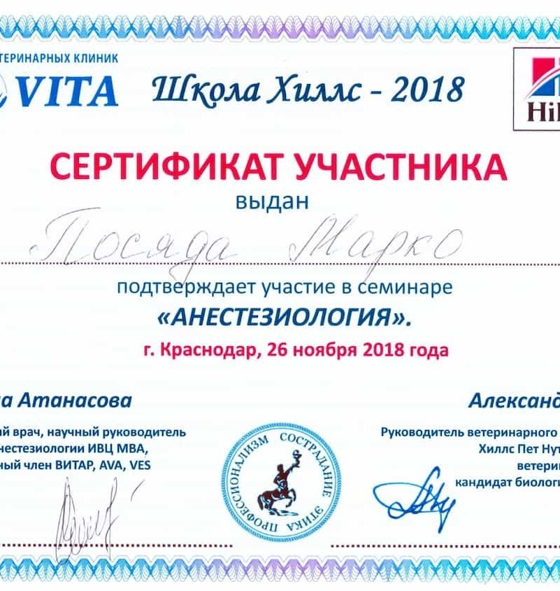 2018 г. - Анестезиология, г. Краснодар