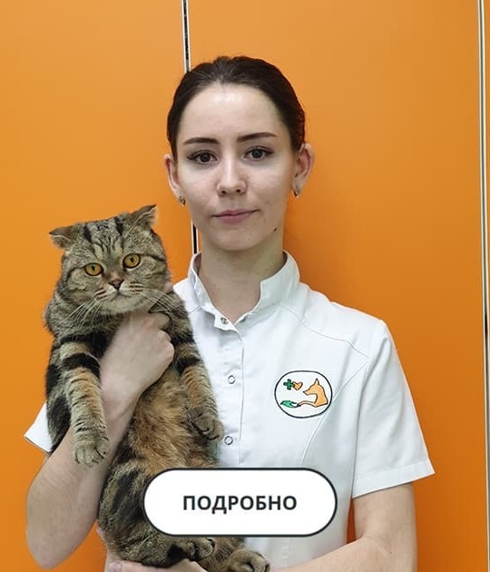 Специалист Лапа Помощи Кабанцова Ю.А.