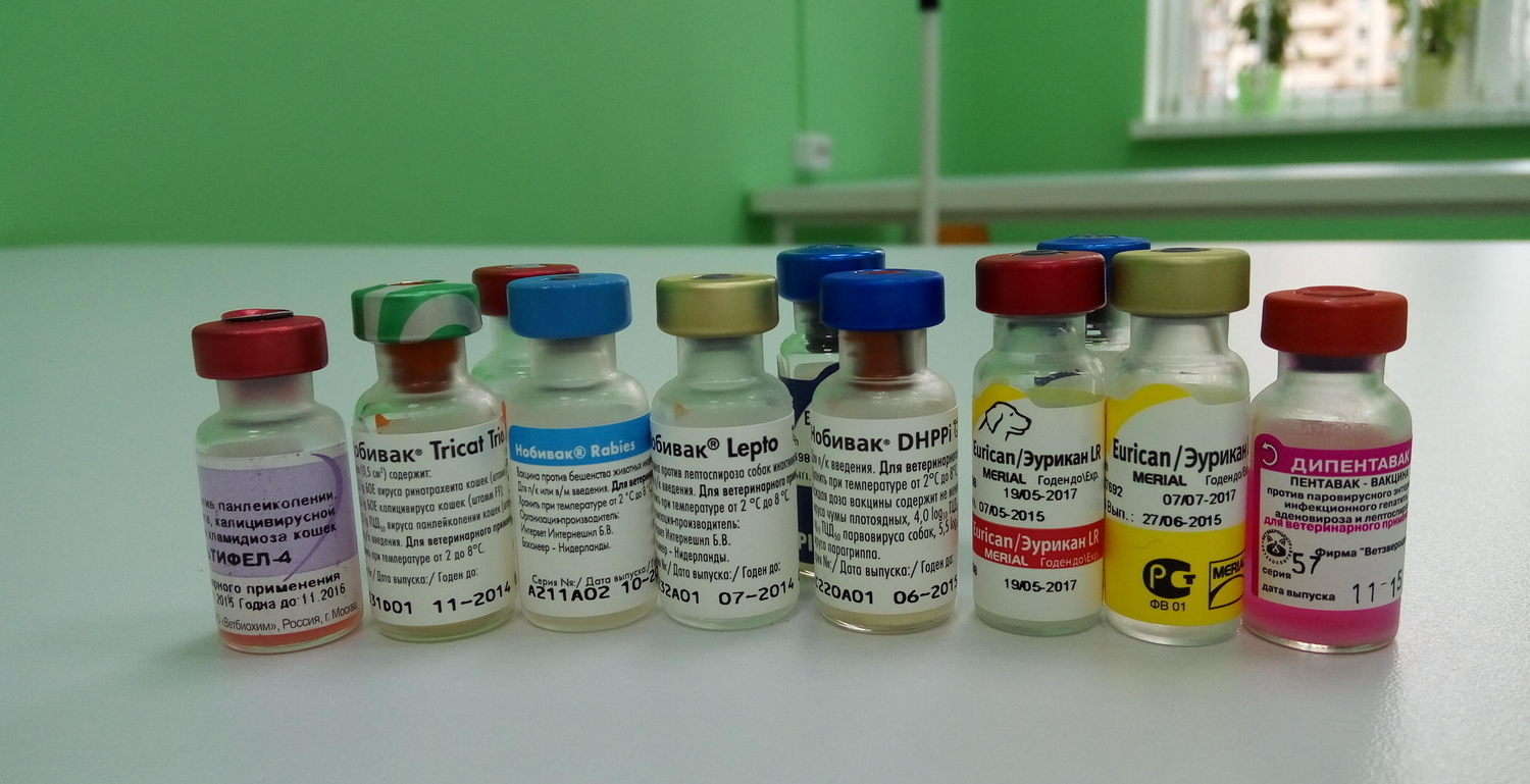 Фото вакцин в ветеринарной клинике Лапа Помощи Краснодар