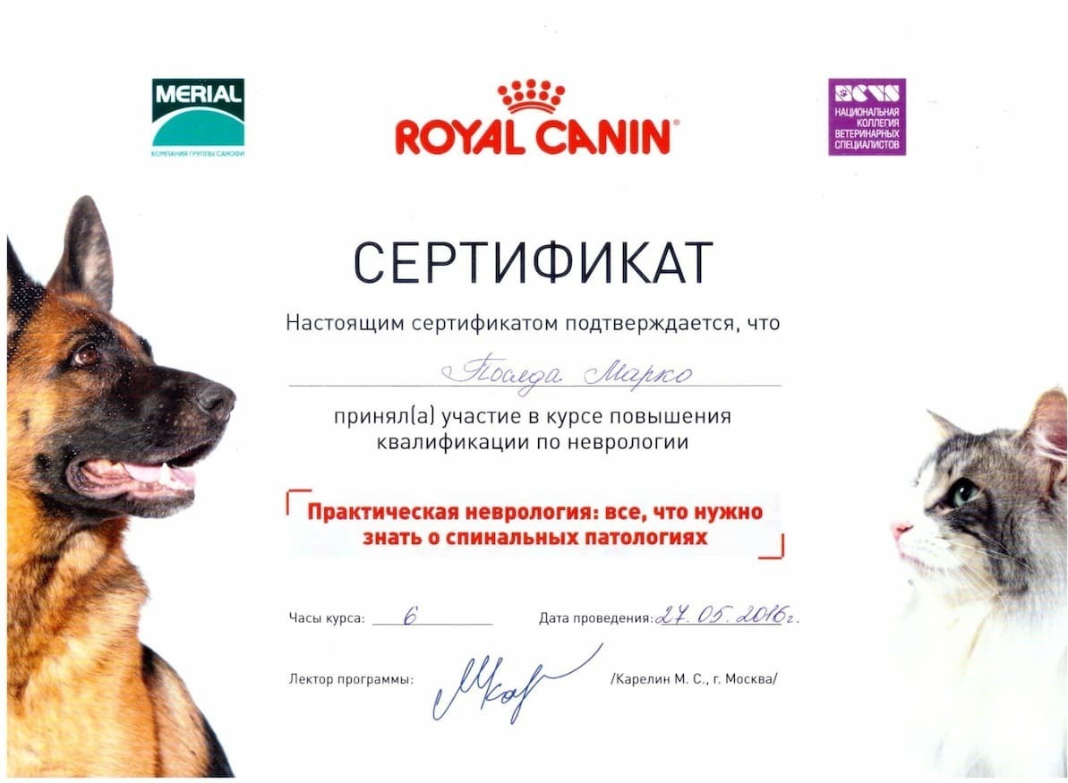 Сертификат 2016 г. - Практическая неврология, г. Москва