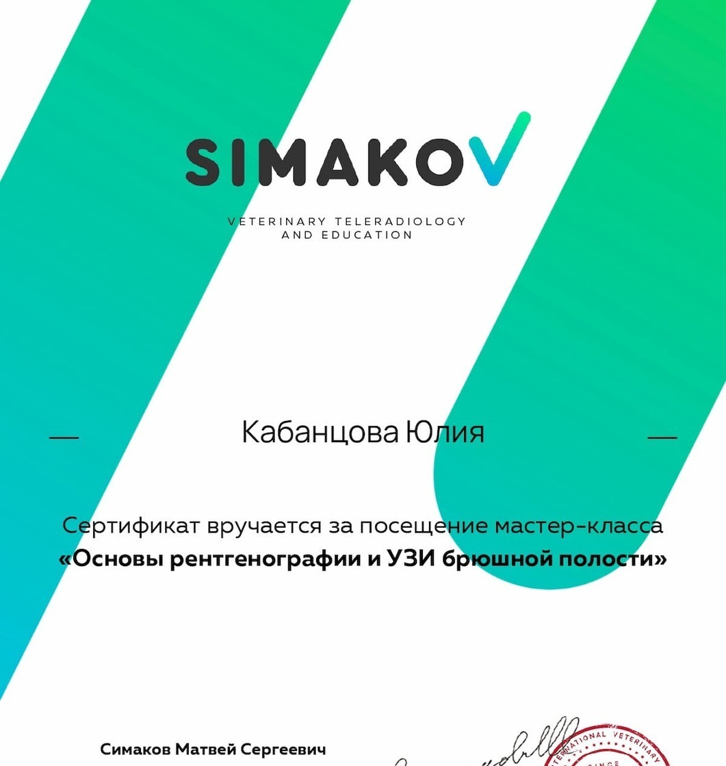 Сертификат 2025 г. - Основы рентгенографии и УЗИ брюшной полости