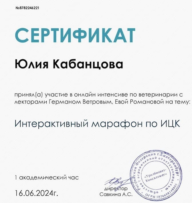 Сертификат 2024 г. - Интерактивный марафон по ИЦК