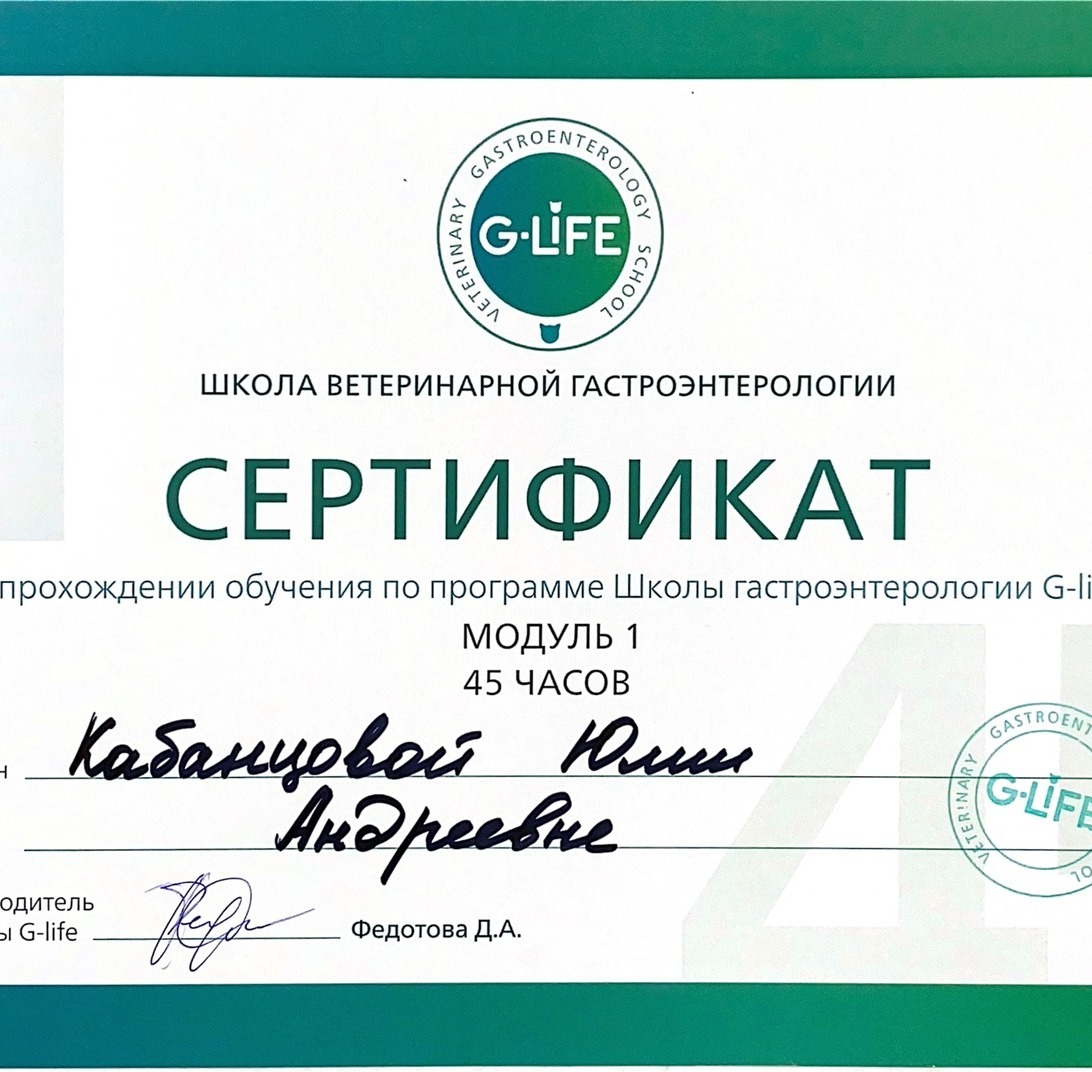 Обучение по программе Школы гастроэнтерологии G-life
