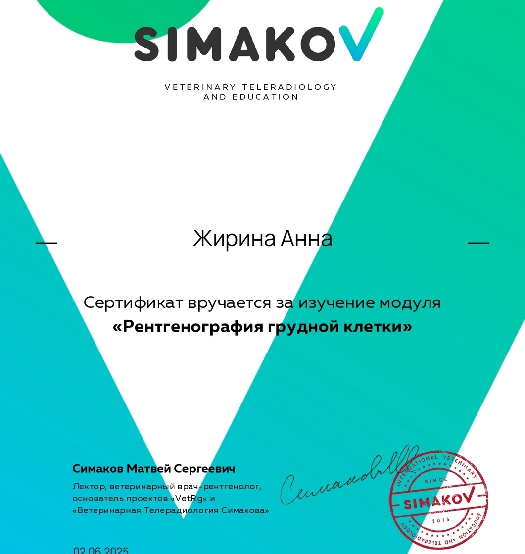 Рентгенография грудной клетки