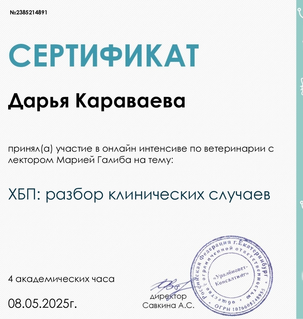 ХБП: разбор клинических случаев