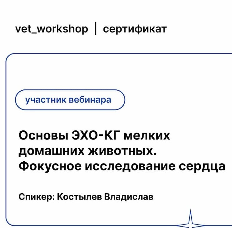 2022 г. - Основы ЭХО-КГ мелких домашних животных. Фокусное исследование сердца