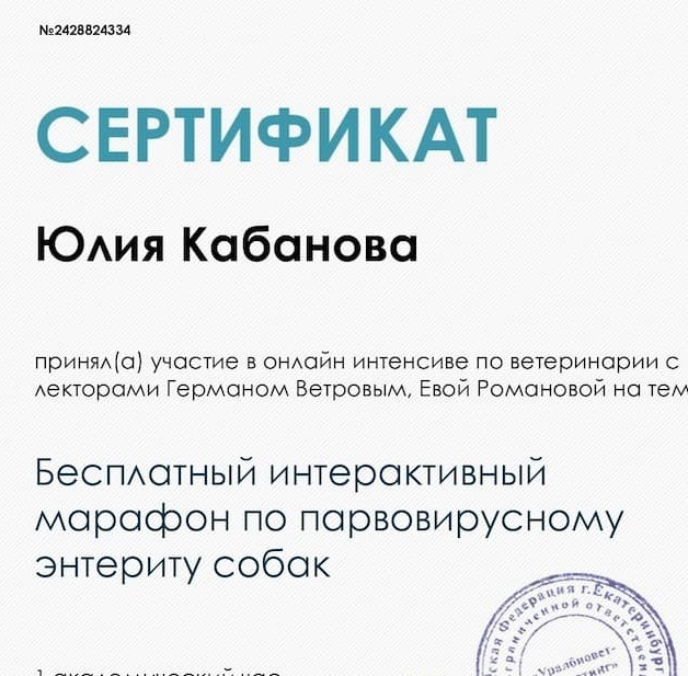 2024 г. - Интерактивный марафон по паровирусному энтериту собак