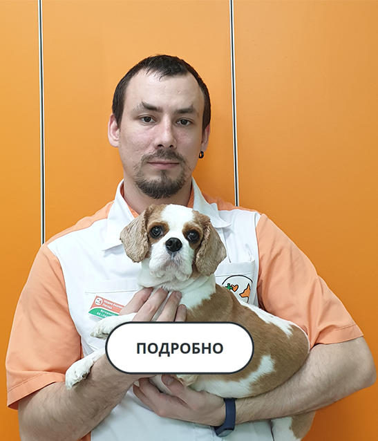 Специалист Лапа Помощи Посяда М.А.