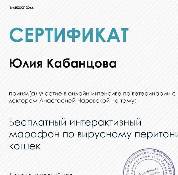 2024 г. - Интерактивный марафон по вирусному перитониту кошек