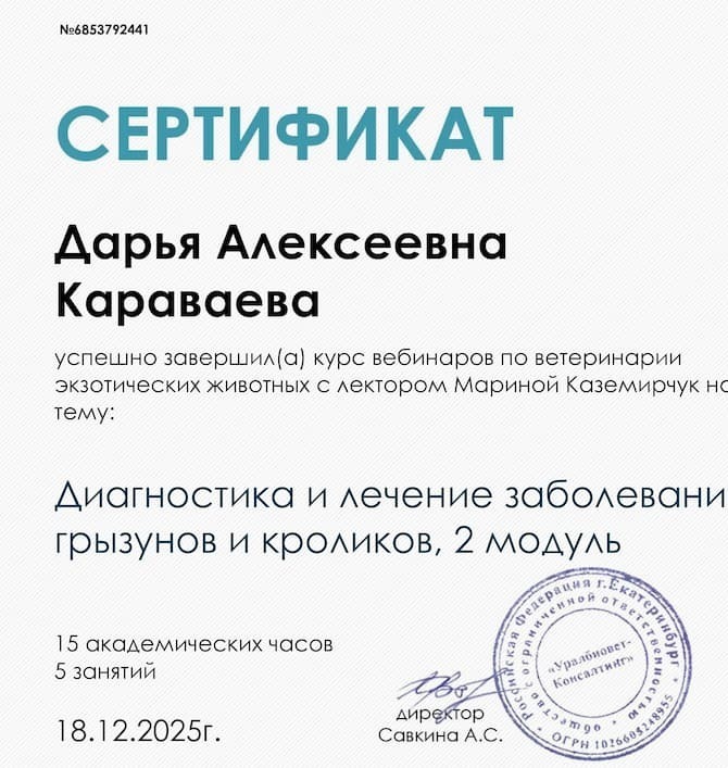 Диагностика и лечение заболеваний грызунов и кроликов, 2 модуль