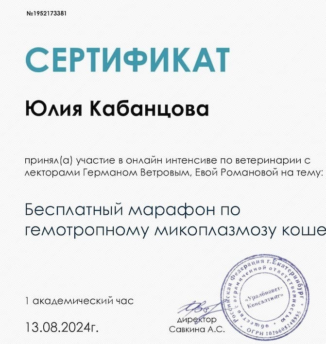 Сертификат 2024 г. - Марафон по гемотропному микоплазмозу кошек