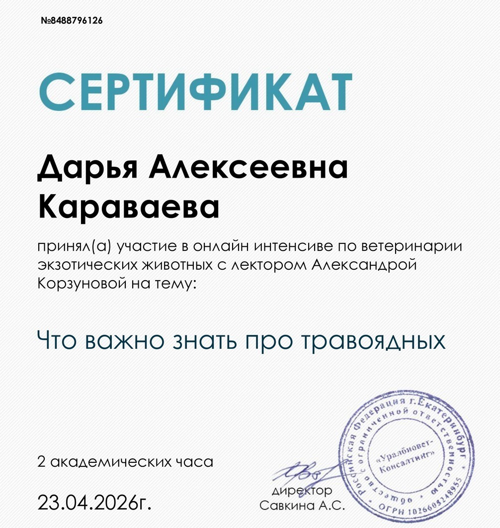 Что важно знать про травоядных