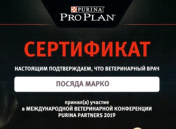 Сертификат 2019 г. - Типы затемнений легких, г. Москва