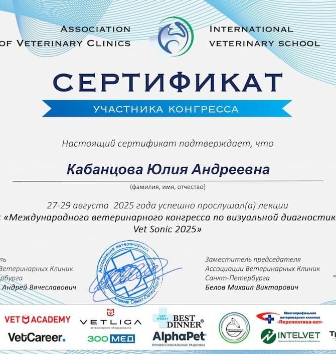 Сертификат 2025 г. - Международный ветеринарный конгресс по визуальной диагностике Vet Sonic 2025