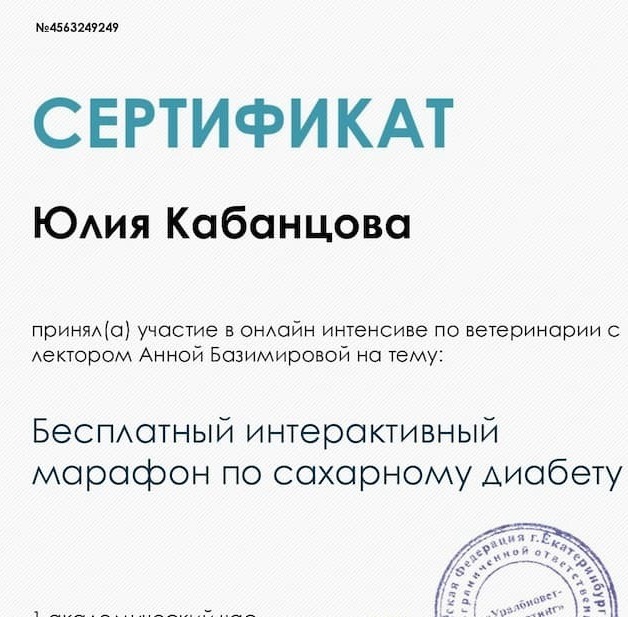 2025 г. - Интерактивный марафон по сахарному диабету 