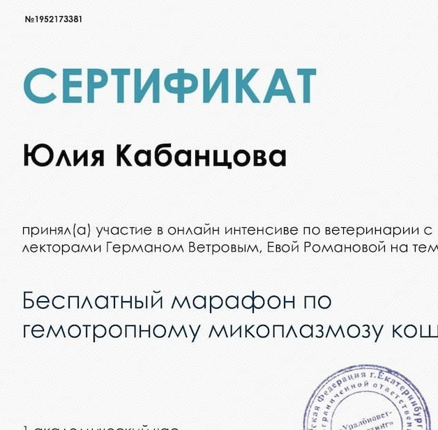 2024 г. - Марафон по гемотропному микоплазмозу кошек