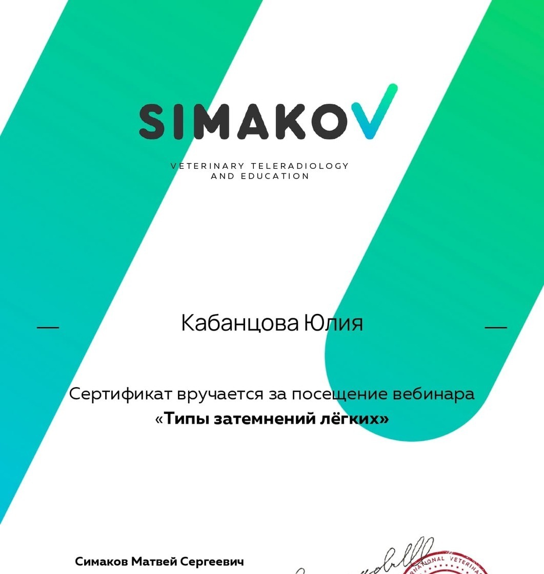 Сертификат 2025 г. - Типы затемнения легких