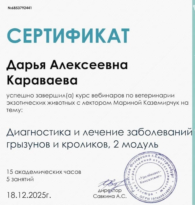 Диагностика и лечение заболеваний грызунов и кроликов, 2 модуль