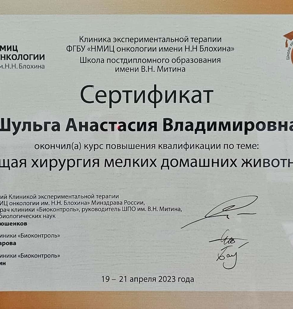 2023 г. - Общая хирургия мелких домашних животных