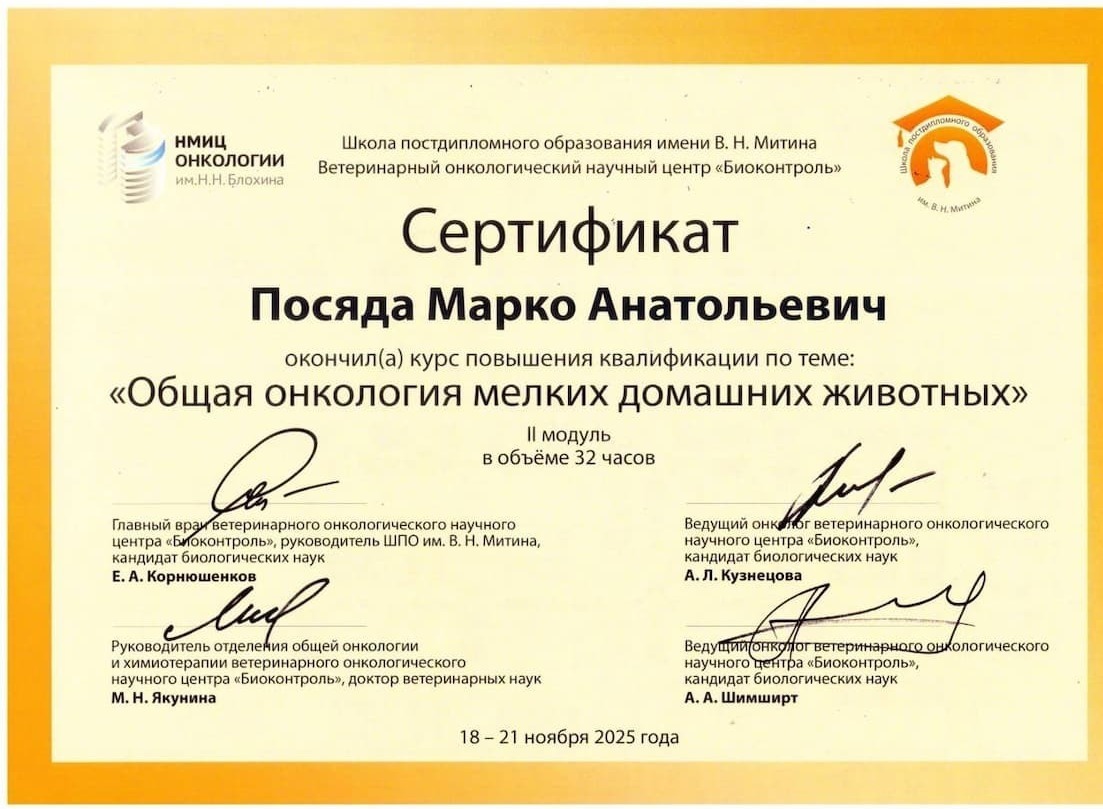 Сертификат Общая онкология мелких домашних животных, II модуль, г. Москва