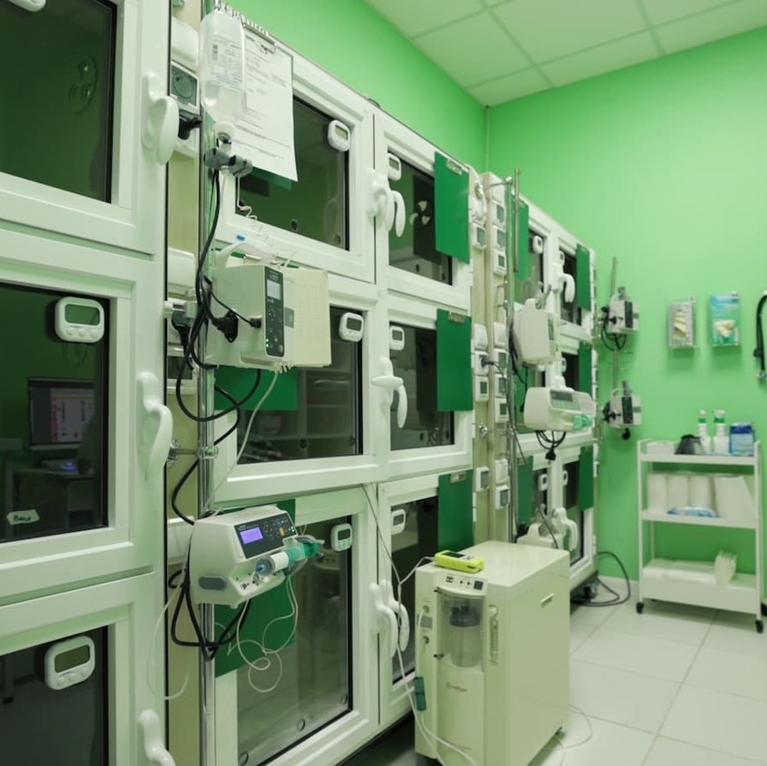 Стационарное отделение ветеринарной клиники "Лапа Помощи" Стационарное отделение ветеринарной клиники "Лапа Помощи"