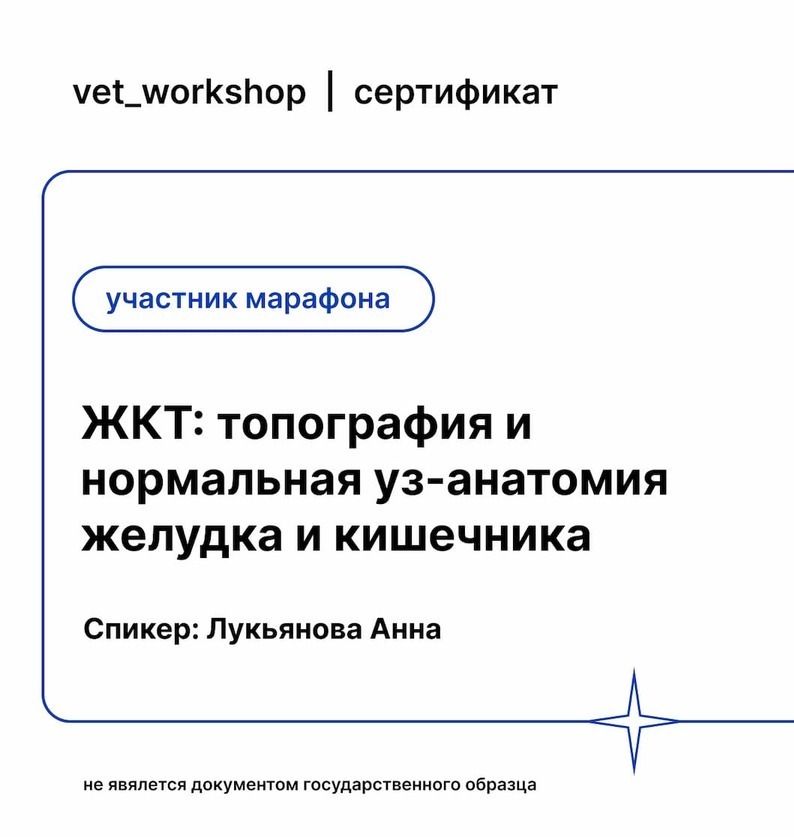 Сертификат 2022 г. - ЖКТ: топография и нормальная уз-анатомия желудка и кишечника