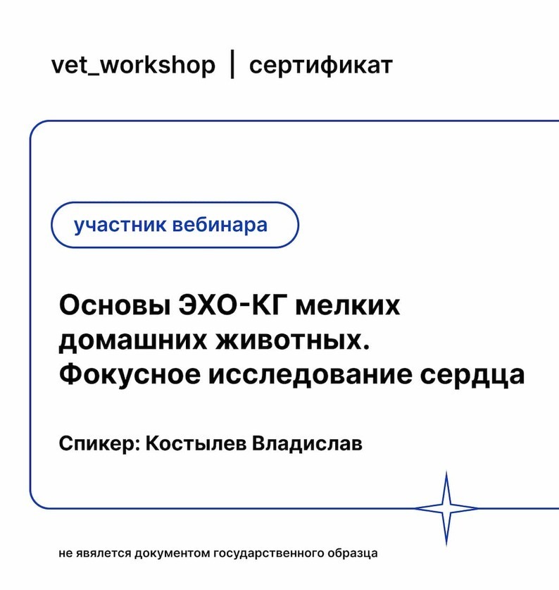 Сертификат 2022 г. - Основы ЭХО-КГ мелких домашних животных. Фокусное исследование сердца