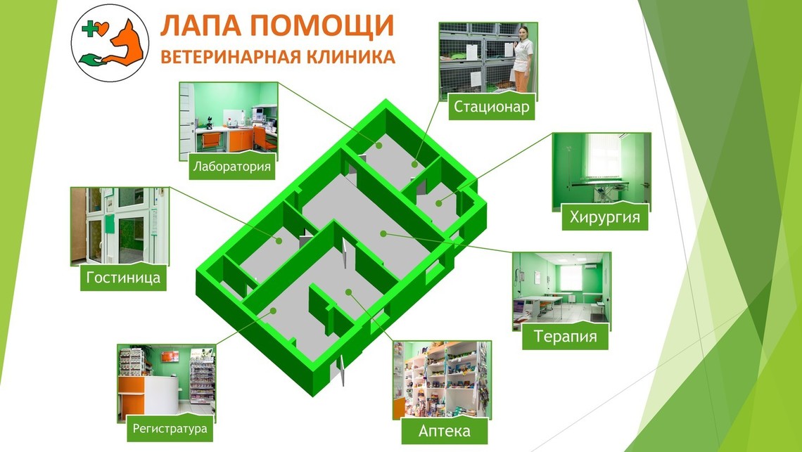 Схема ветеринарной клиники Лапа Помощи Краснодар