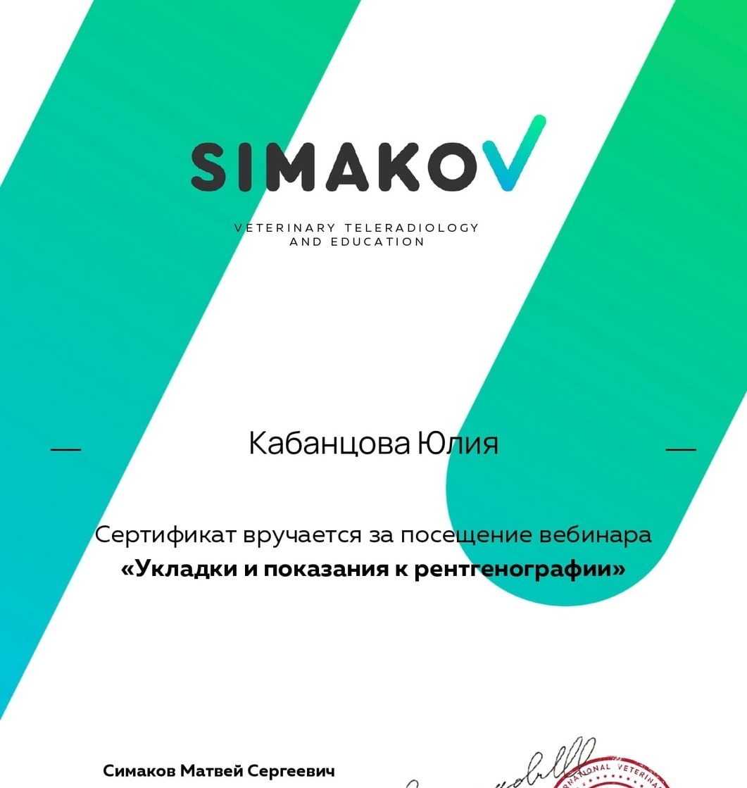 Сертификат 2025 г. - Укладки и показания к рентгенографии