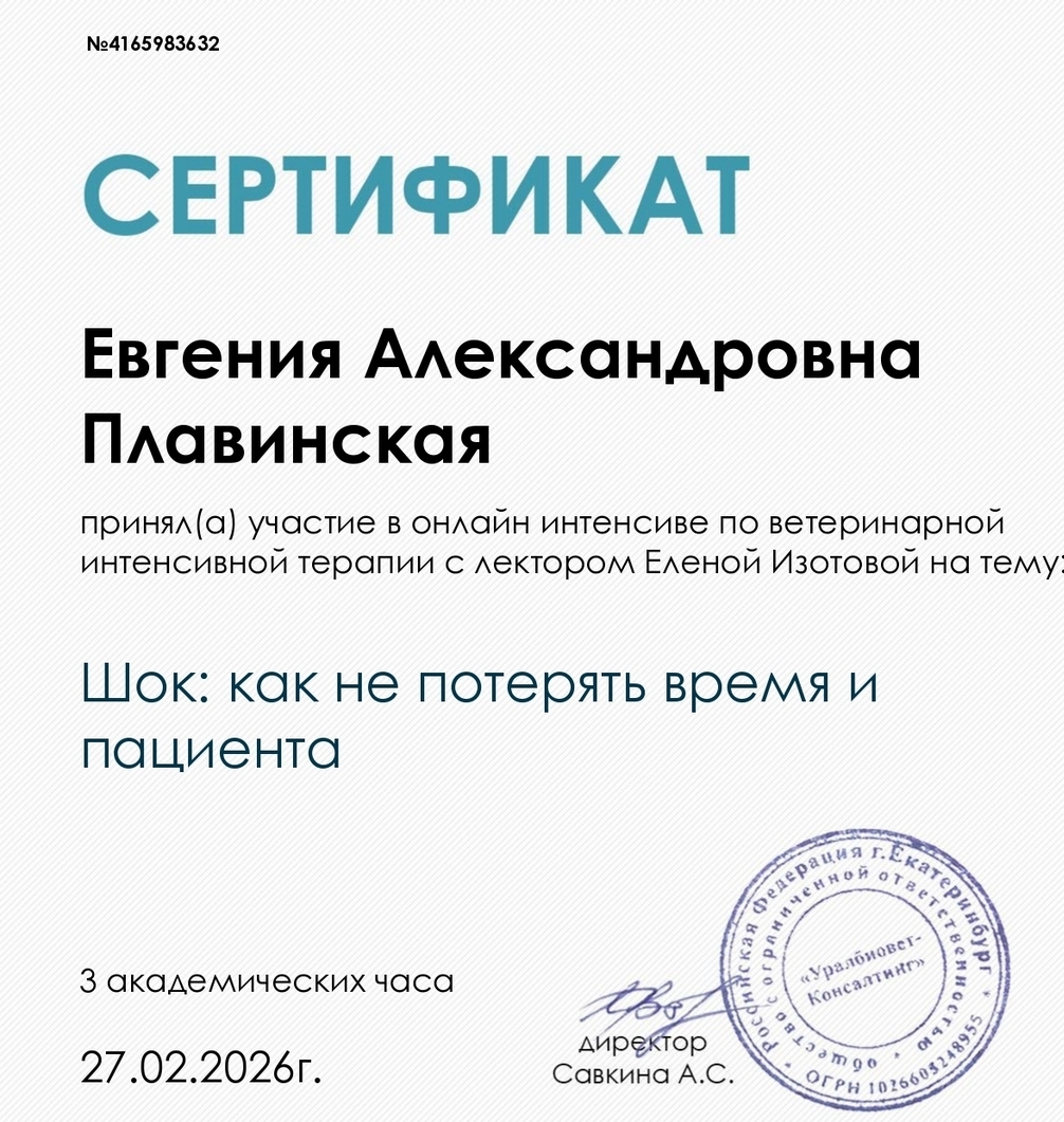 Шок: как не потерять время и пациента