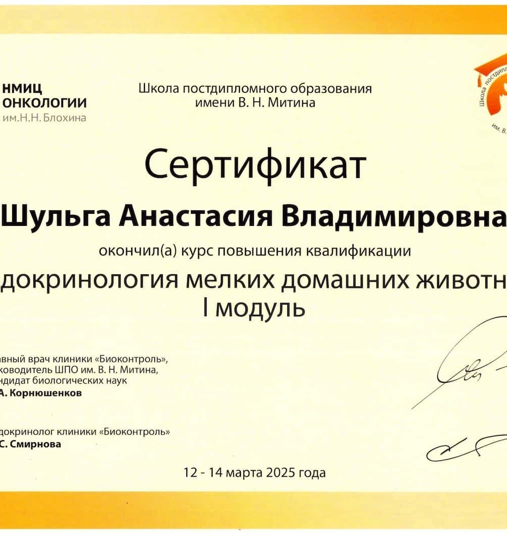 2025 г. -  Эндокринология мелких домашних животных