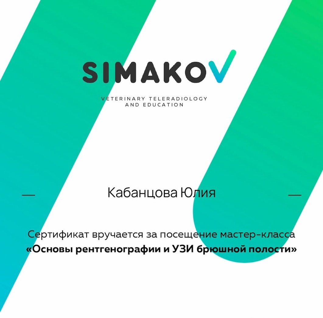 2025 г. - Основы рентгенографии и УЗИ брюшной полости