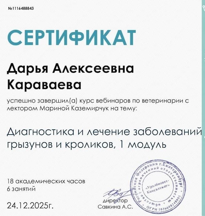 2025 г. - Диагностика и лечение заболеваний грызунов и кроликов, 1 модуль