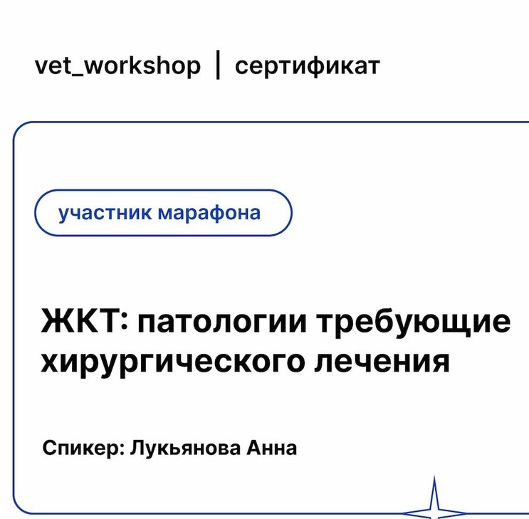 2022 г. - ЖКТ: патологии требующие хирургического лечения