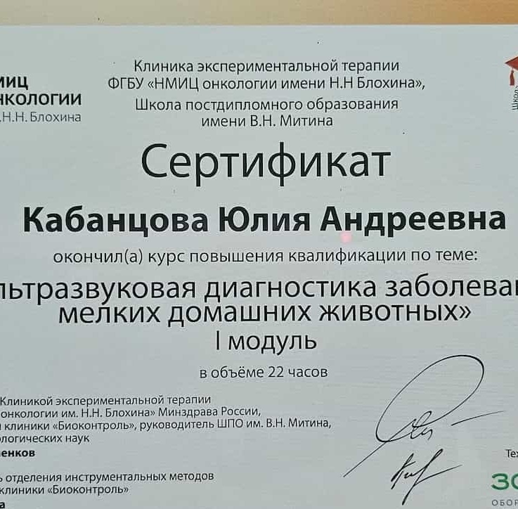 2023 г. - Ультразвуковая диагностика заболеваний мелких домашних животных, I Модуль