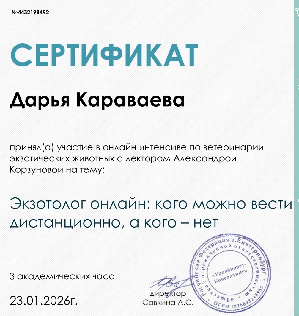 Экзотолог онлайн: кого можно вести дистанционно, а кого - нет