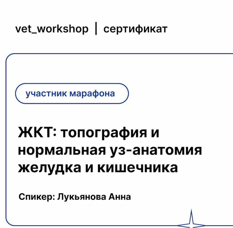 2022 г. - ЖКТ: топография и нормальная уз-анатомия желудка и кишечника