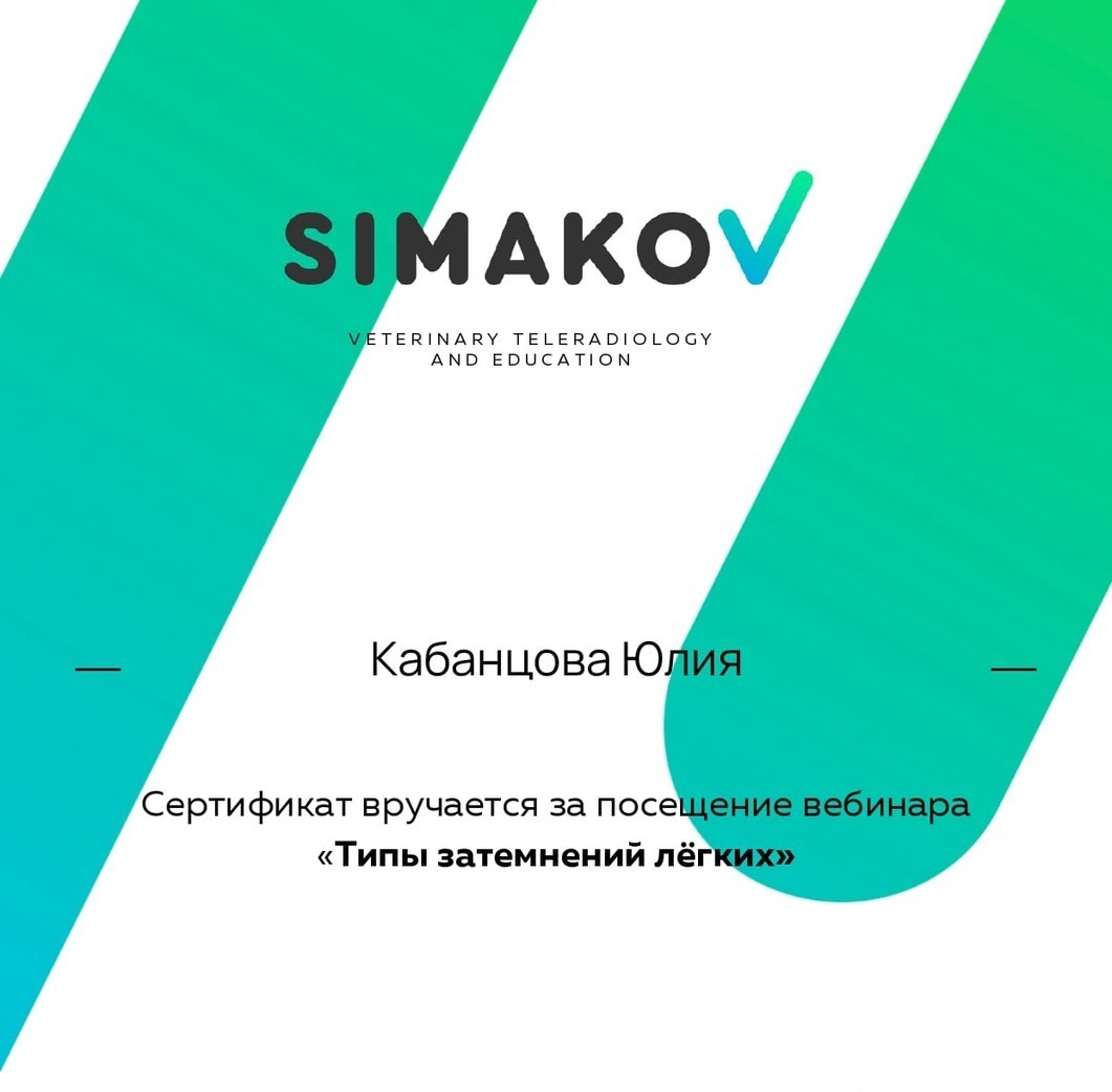 2025 г. - Типы затемнения легких