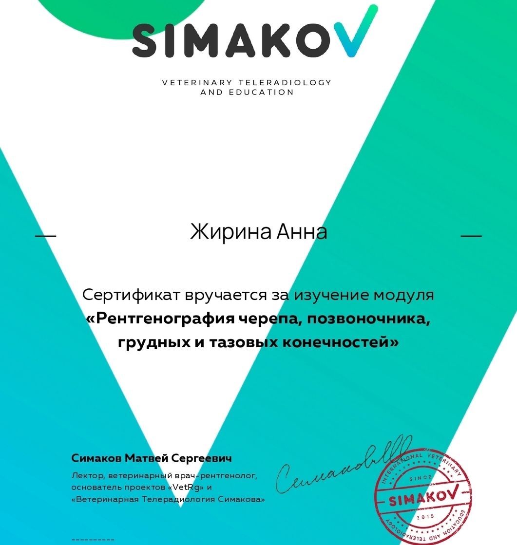 Рентгенография черепа, позвоночника, грудных и тазовых конечностей