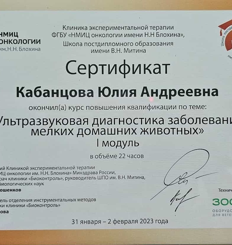 2023 г. - Ультразвуковая диагностика заболеваний мелких домашних животных, I Модуль