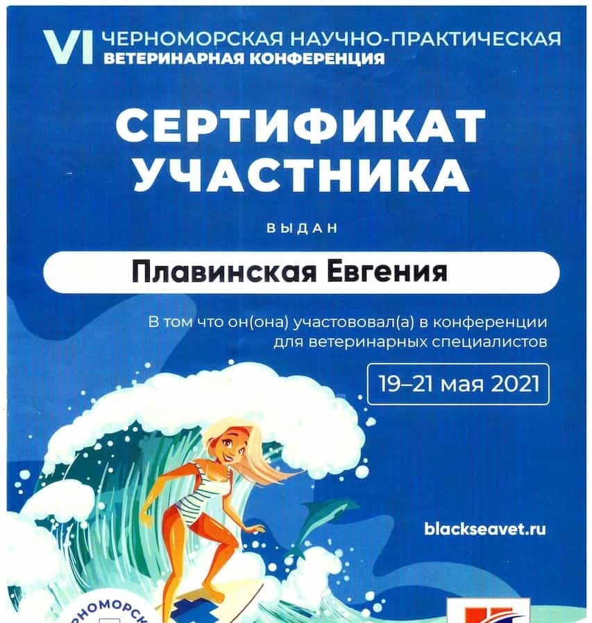 2021 г. - Сочинский ветеринарный фестиваль, г. Сочи