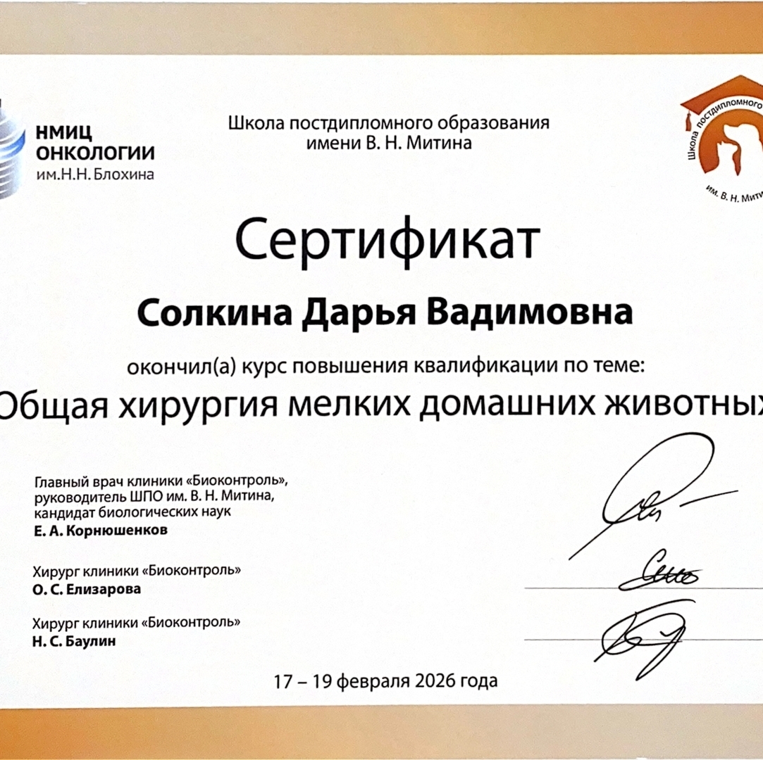 Сертификат Общая хирургия мелких домашних животных